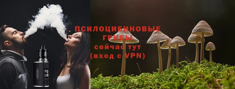 Псилоцибиновые грибы Magic Shrooms  KRAKEN зеркало  Ардон 